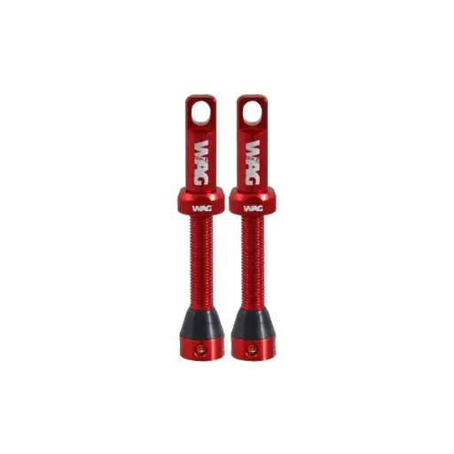 Coppia valvola tubeless - 44mm